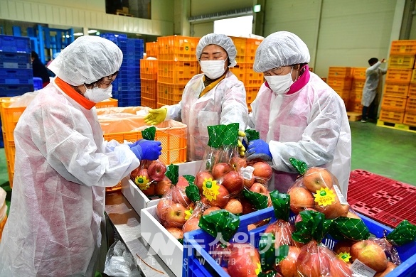 지난 2일, 지역 농업인들이 전국 롯데슈퍼에 판매 될 장성사과를 포장하며 웃고 있다.