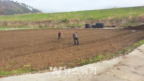 장성군 농업인이 봄을 맞아 영농 준비를 하고 있다