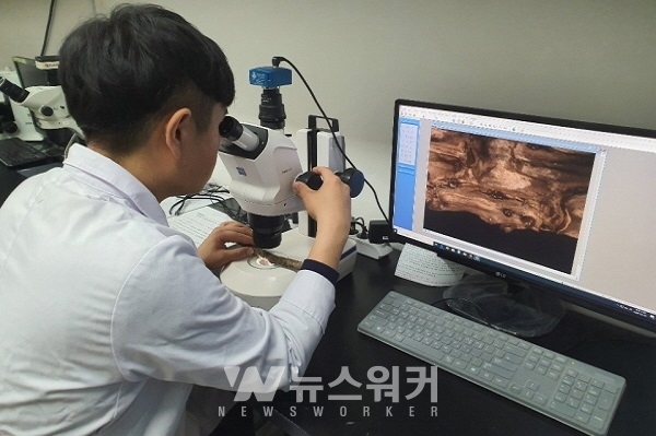 나무병원, 현미경 관찰을 통한 수목피해 진단