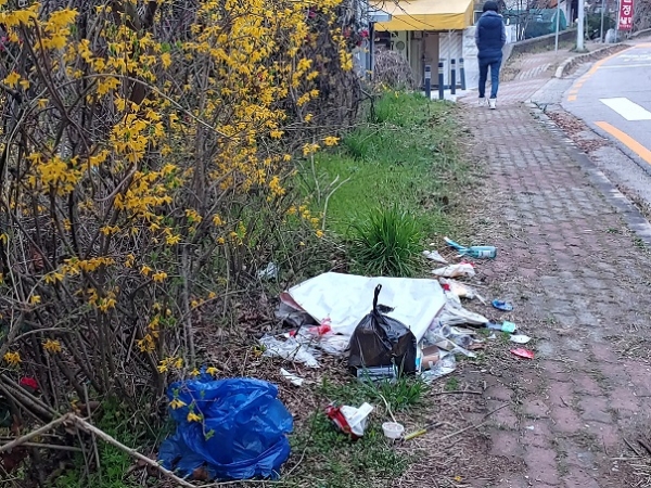 봄 개나리가 무색한 송산공원 입구 쓰레기 투척물