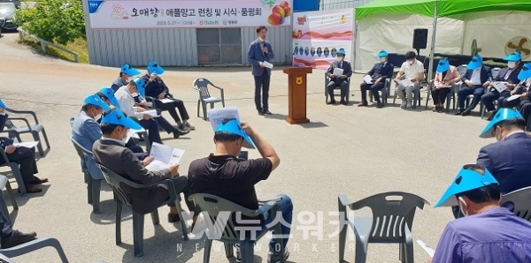 열대 브랜드 『오매향』애플망고 출시 기념 시식·품평회 개최