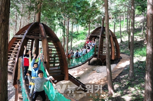 진도군, 편백숲 운림산림욕장 개장