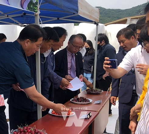 지난 10일 농업기술센터에서 강진 체리연구회 회원들과 함께 품종별 시식회를 열었다.