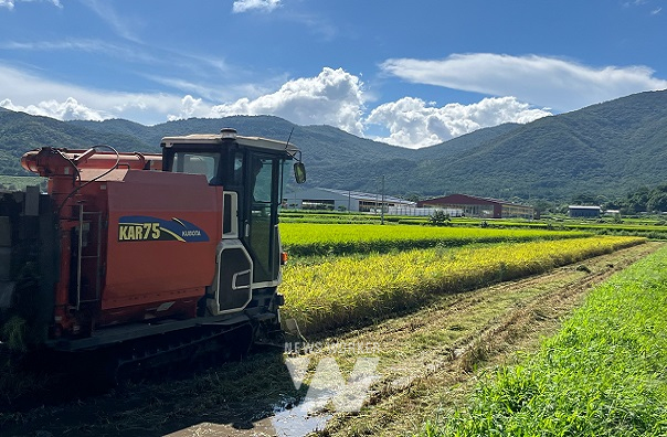 보성군은 지난 21일 웅치면 중산리 박화영 농가가 올벼쌀을 처음으로 수확하면서 올해 본격적인 올벼쌀 수확이 시작됐다