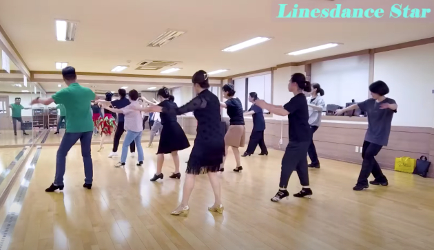 일반인들의 '기장갈매기' 라인댄스 열풍을 보여주는 영상 <사진=Linedance Star 공식 유튜브 영상 '기장갈매기라인댄스 | 나훈아신곡 | 초급 | 안무:이준재' 캡처>