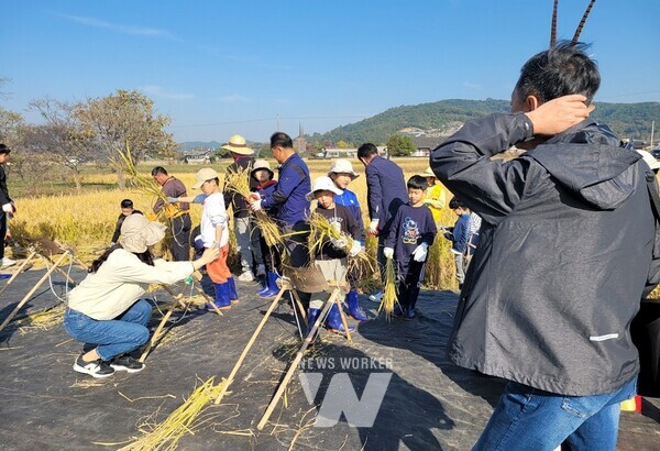담양 볍씨마을학교서 '친환경 벼 추수한마당' 체험행사
