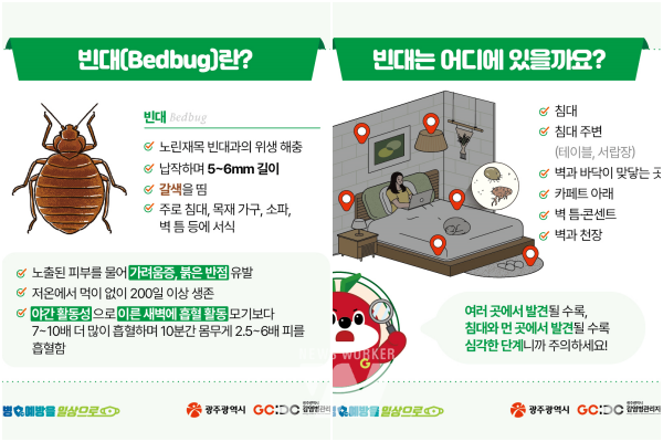 광주시, 빈대 총력대응체계 구축