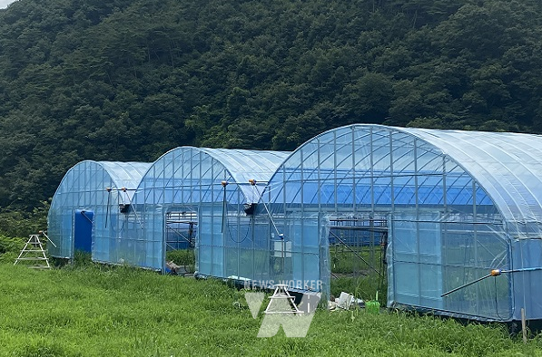 보조사업으로 신축한 비닐하우스