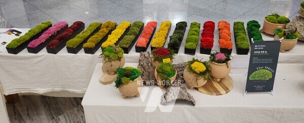 전시작품-숨겨진색들, 자연의 팔레트