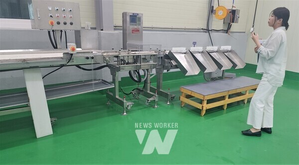 전라남도는 굴 수출 확대 등 전략품목 육성 기반 구축과 안전하고 위생적인 생굴 생산기반 확충을 위해 신규로 사업비 50억 원을 투입해 굴 박신장(굴 작업장) 현대화 사업을 지원한다