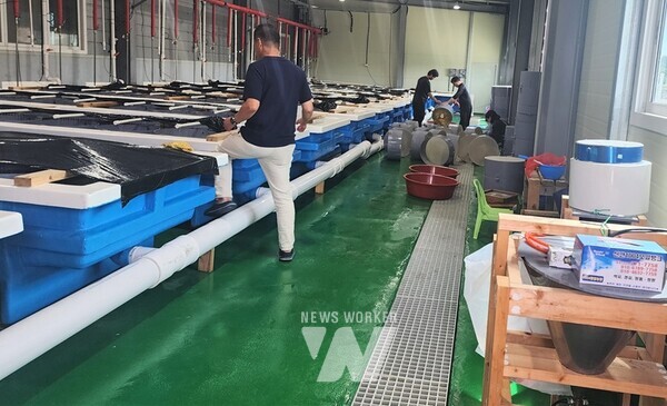 전라남도는 굴 수출 확대 등 전략품목 육성 기반 구축과 안전하고 위생적인 생굴 생산기반 확충을 위해 신규로 사업비 50억 원을 투입해 굴 박신장(굴 작업장) 현대화 사업을 지원한다