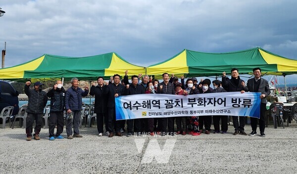 전라남도해양수산과학원이 겨울철 남해안 별미로 알려진 꼼치(물메기) 자원 회복을 위해 여수 두문포 해역에 7회에 걸쳐 2천416만 마리를 방류했다.