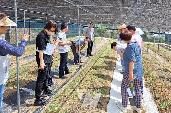 전라남도산림자원연구소는 전남지역 전문 임업인 양성을 위해 11월까지 10개 과정 전문교육을 실시한다