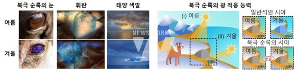 (왼쪽부터) GIST 김도은 연구원(박사과정), 정현호 교수, 김규린 연구원(통합과정), 김주환 연구원(통합과정)