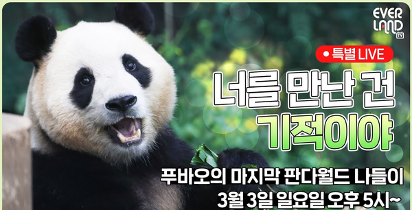 유튜브채널 '에버랜드' 캡쳐