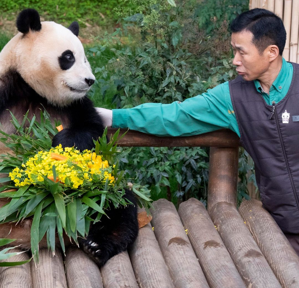 에버랜드 인스타그램 캡쳐