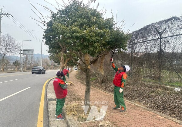 전남 장흥군은 지난 4일 목재산업지원센터에서 경관조성 근로자 24명과 근로계약을 체결하고 본격적인 녹지관리 작업에 돌입했다.