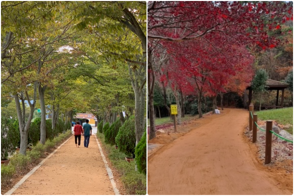 영암군 왕인박사유적지 황톳길, 기찬묏길 황톳길