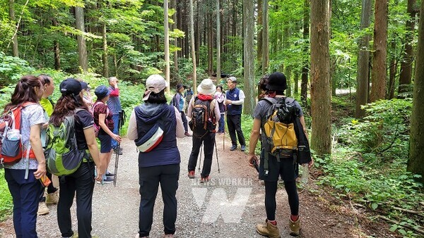 장성군이 오는 11월까지 축령산 등지에서 숲 해설을 운영한다