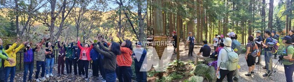 장성군이 오는 11월까지 축령산 등지에서 숲 해설을 운영한다