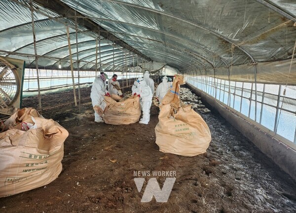 영암군과 전라남도가 축산 현장에서 관행처럼 이어져 왔던 불합리한 제도를 개선하는 데 일조했다.