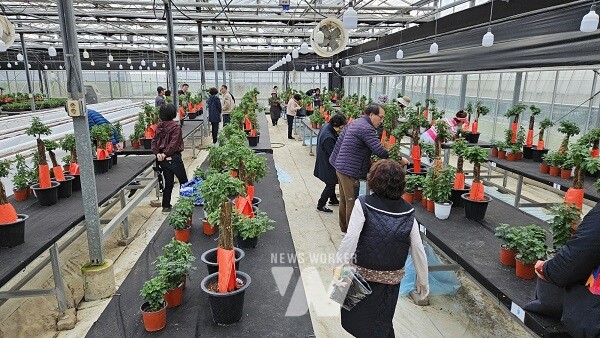 분재교육 실습 모습