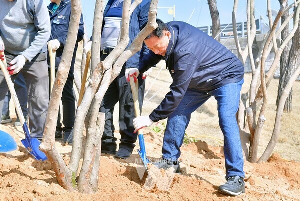 장성군이 지난 19일 황룡강변에서 식목일 기념 나무심기 행사를 가졌다. 식재 작업에 참여한 김한종 군수