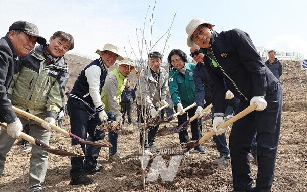 산불 피해지 복구를 위한 나무심기 행사