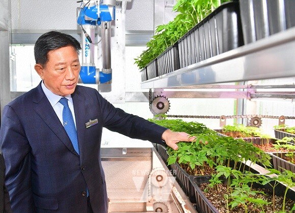 챔버형 스마트팜을 시찰 중인 김한종 장성군수