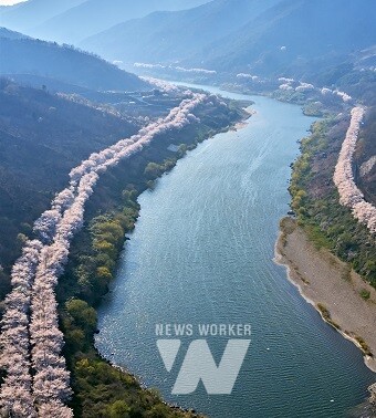 추천 관광지- 구례 섬진강 벚꽃길