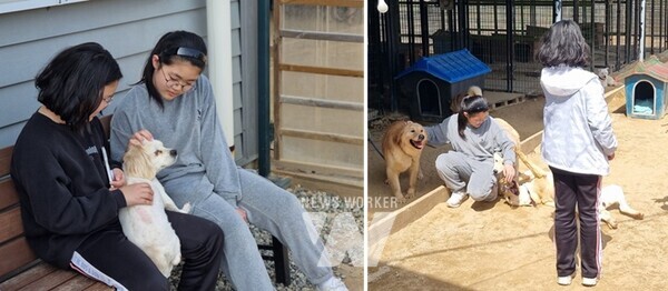 담빛청소년문화의집 청소년 봉사동아리 ‘또바기’가 작년 5월부터 시작한 담양군 유기 동물을 위한 봉사를 이어가고 있다.