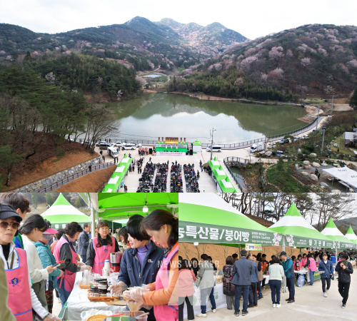 제1회 금성면 고비산 산벚꽃축제