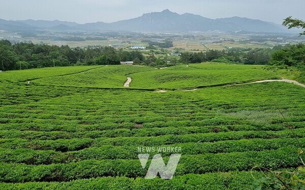 유기농 생태마을-영암군 선암마을