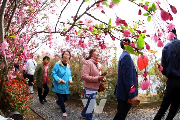  축제 첫날 오전부터 행사장을 찾은 관광객들이 사진찍기에 여념이 없다.