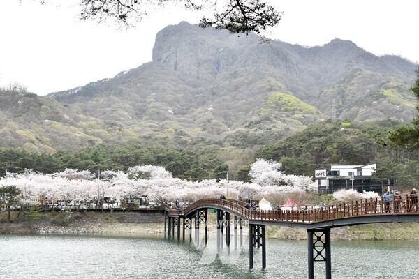 담양군, ‘노후 관광지 재생사업’ 공모 선정… 사업비 20억 확보 (추월산과 용마루길)