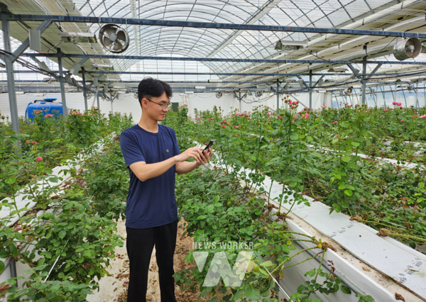 시범대상 농가가 시설 온실에서 스마트팜 시스템을 확인하고 있다.