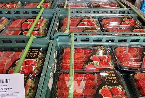 공동선별출하 생산자조직- 담양 창평농협 공선회