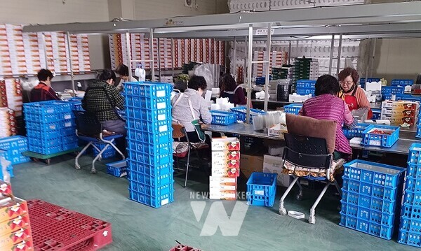 공동선별출하 생산자조직- 담양 창평농협 공선회