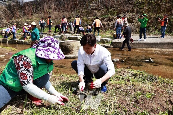 전남 보성군은 지난 12일 주민들의 산책길로 잘 알려진 동윤천 생태하천길의 수질개선 및 탄소흡수원 확대를 위해 꽃창포 11,000본을 식재했다 (김철우 보성군수가 호미를 들고 꽃창포 식재에 참여하고 있다)