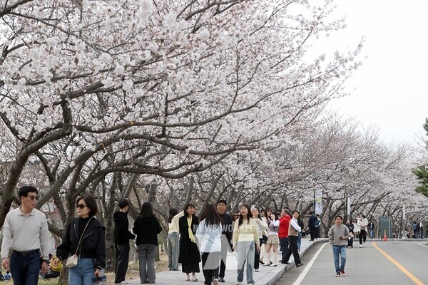 왕인박사 유적지