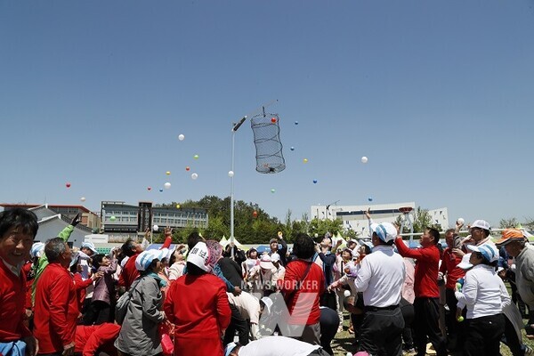 제45회보성군민의날(2019.5.) 체육행사