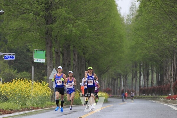 메타세쿼이아 길을 달리는 제14회 보성녹차마라톤대회(2019년)