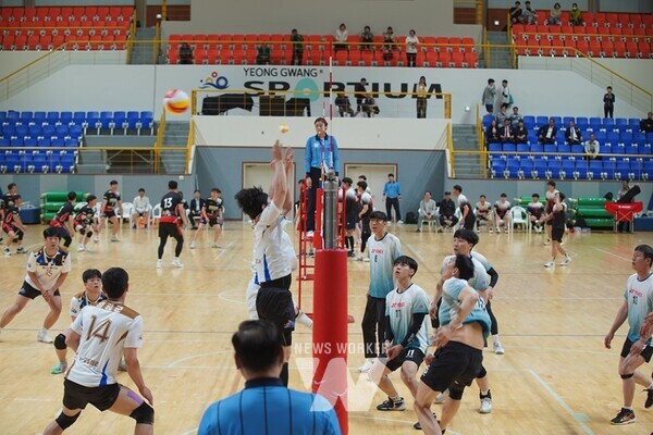 제63회 전라남도체육대회가 지난 17일 영광스포티움 종합운동장에서 개회식을 시작으로 오는 20일까지 4일간의 열전에 돌입했다.