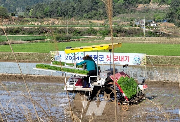 전남 영광군(군수 강종만)은 19일 올해 첫 모내기를 실시한 군남면 반안리 정권옥(49) 농가 모내기 현장에서 풍년 농사를 기원하며 모내기 작업을 도왔다.