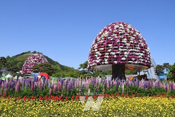 함평군이 한국관광공사와 함께 5월 6일까지 ‘제26회 함평나비대축제 개최기념 이벤트’를 진행한다