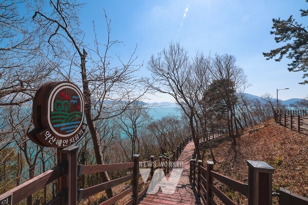 완도 약산 해안 치유의 숲 전경