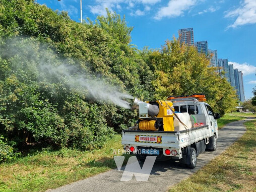 광주광역시(시장 강기정)는 5개 자치구, 광주환경공단과 협력해 광주천의 수목 해충(미국흰불나방 등) 발생에 선제적으로 대응하기 위해 수목 방제 작업에 돌입한다