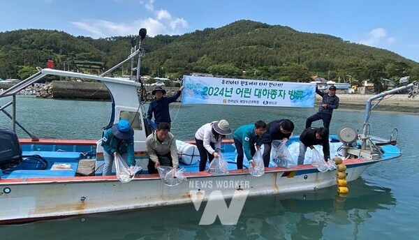 전라남도해양수산과학원(원장 김충남)은 풍요로운 바다 만들기 일환으로 경제적 가치가 높은 어린 대하 800만 마리를 8일 완도·해남·영광·강진 해역에 방류했다