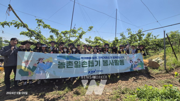 나주시 소재 농가 배솎기를 지원하는 봉사활동 (격려차 방문한 나주시 직원들과 함께)