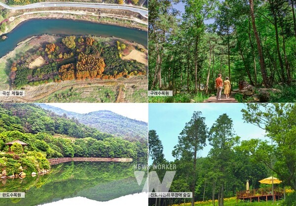 전라남도가 녹음이 짙어지는 5월 피톤치드 가득한 숲 속 여행지로 곡성 제월섬, 구례수목원, 완도수목원, 진도 사천리 무장애숲길을 추천했다.